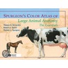 Spurgeon's Color Atlas Of Large Animal Anatomy door Thomas O. McCracken