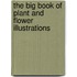 The Big Book Of Plant And Flower Illustrations