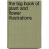 The Big Book Of Plant And Flower Illustrations door Maggie Kate