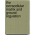 The Extracellular Matrix And Ground Regulation