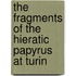 The Fragments Of The Hieratic Papyrus At Turin