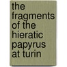 The Fragments Of The Hieratic Papyrus At Turin door Sir John Gardner Wilkinson