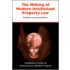 The Making Of Modern Intellectual Property Law