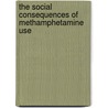 The Social Consequences Of Methamphetamine Use door Ira Brant Sommers