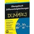 Ubungsbuch Differentialgleichungen Fur Dummies