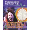 Understanding the Brain and the Nervous System by Robert Snedden