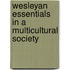 Wesleyan Essentials In A Multicultural Society
