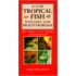 A-Z of Tropical Fish Diseases & Health Problems