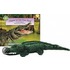 Alligator at Saw Grass Road [With Plush Animal]