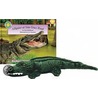 Alligator at Saw Grass Road [With Plush Animal] door Lori Anzalone