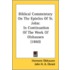 Biblical Commentary on the Epistles of St. John