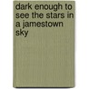 Dark Enough to See the Stars in a Jamestown Sky door Connie Lapallo