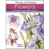 Drawing & Painting Flowers Problems & Solutions