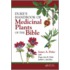 Duke's Handbook Of Medicinal Herbs Of The Bible