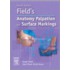 Field's Anatomy, Palpation And Surface Markings