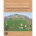 From Surface Collection To Prehistoric Lifeways