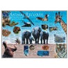 Guinness World Records Animal Records Wallchart by Unknown