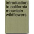 Introduction To California Mountain Wildflowers