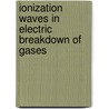 Ionization Waves In Electric Breakdown Of Gases door I.M. Rutkevich