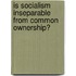 Is Socialism Inseparable From Common Ownership?