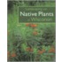Landscaping With The Native Plants Of Wisconsin