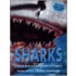 Life-Size Sharks And Other Underwater Creatures