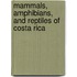 Mammals, Amphibians, And Reptiles Of Costa Rica