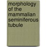 Morphology of the Mammalian Seminiferous Tubule door George Morris Curtis