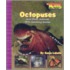Octopuses And Other Animals With Amazing Senses