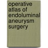 Operative Atlas of Endoluminal Aneurysm Surgery by S. Waquar Yusuf