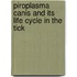 Piroplasma Canis And Its Life Cycle In The Tick