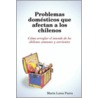 Problemas Domesticos Que Afectan A Los Chilenos door Maria Luisa Parra