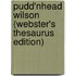 Pudd'Nhead Wilson (Webster's Thesaurus Edition)