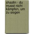Shaolin - Du musst nicht kämpfen, um zu siegen