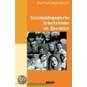 Sozialpädagogische Arbeitsfelder im Überblick door Manfred Vogelsberger