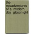The Misadventures Of A  Modern Day  Gibson Girl