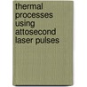 Thermal Processes Using Attosecond Laser Pulses door Miroslaw Kozlowski