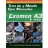 Ase Test Prep Series -- Spanish Version, 2e (a3)