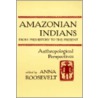 Amazonian Indians From Prehistory To The Present door Onbekend
