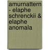 Amurnattern - Elaphe Schrenckii & Elaphe Anomala door Bruno Treu