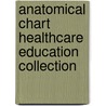 Anatomical Chart Healthcare Education Collection by Anatomical Chart Co