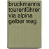 Bruckmanns Tourenführer Via Alpina   Gelber Weg