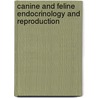 Canine And Feline Endocrinology And Reproduction by Richard W. Nelson
