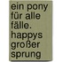 Ein Pony für alle Fälle. Happys großer Sprung