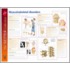 Frank H. Netter Musculoskeletal Disorders Poster