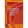 Fundamentals Of Shock Wave Propagation In Solids door Lee Davison