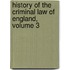 History of the Criminal Law of England, Volume 3