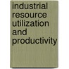 Industrial Resource Utilization And Productivity door Mital