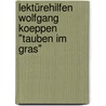Lektürehilfen Wolfgang Koeppen "Tauben im Gras" door Onbekend