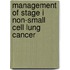 Management Of Stage I Non-Small Cell Lung Cancer